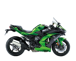 Ninja H2 SX