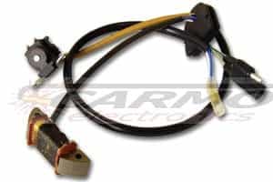 ST1505 - Ignition Stator - Click Image to Close